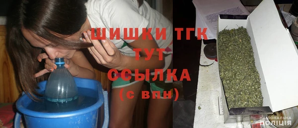 ГАЛЛЮЦИНОГЕННЫЕ ГРИБЫ Белоозёрский