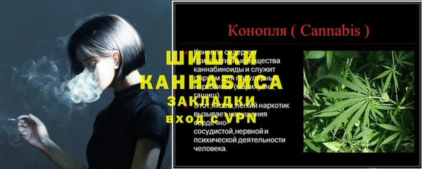 бошки Белокуриха