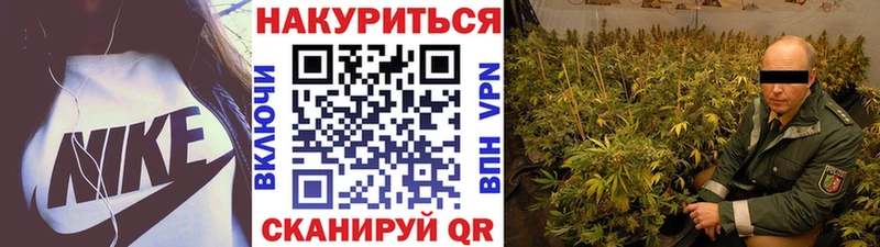 МАРИХУАНА план  сколько стоит  Курлово 